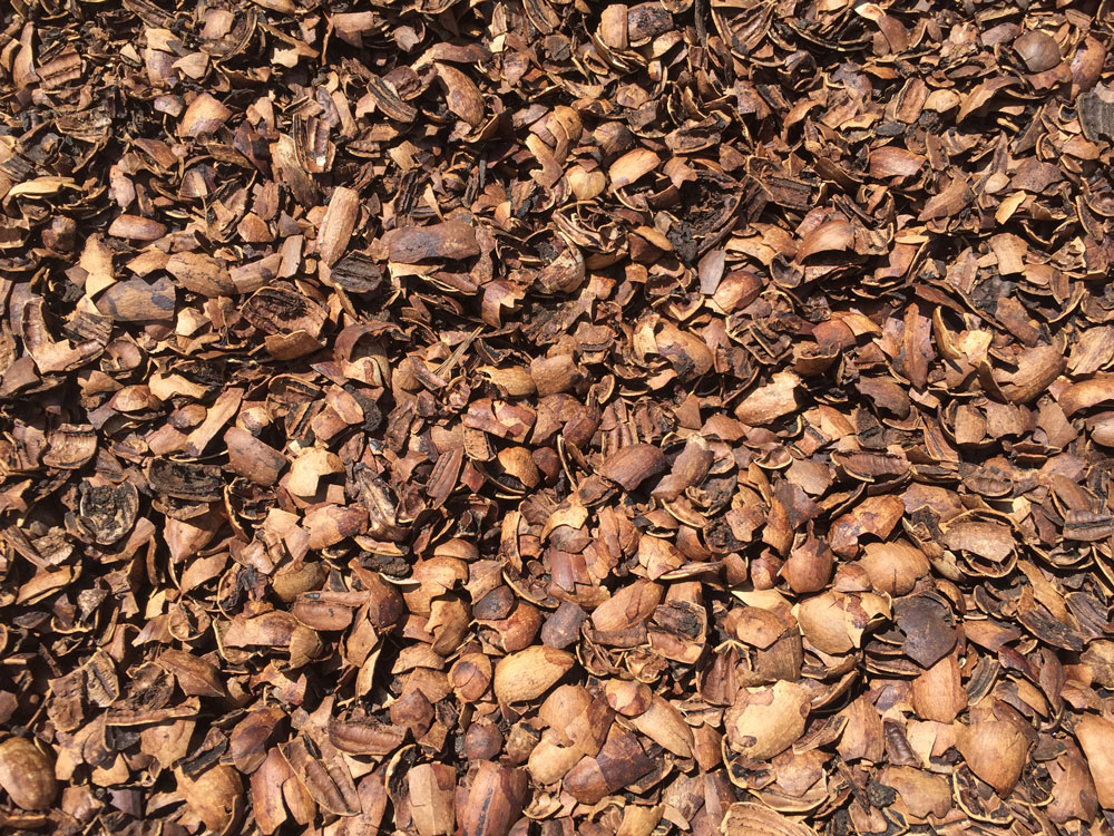 Pecan shell mulch