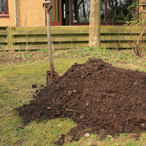 Restore Compacted Soils