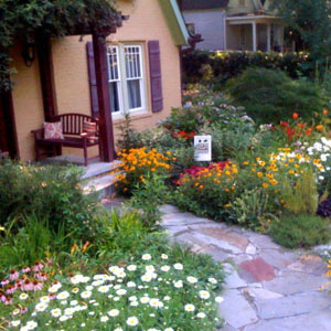 Create a Water-thrifty Landscape