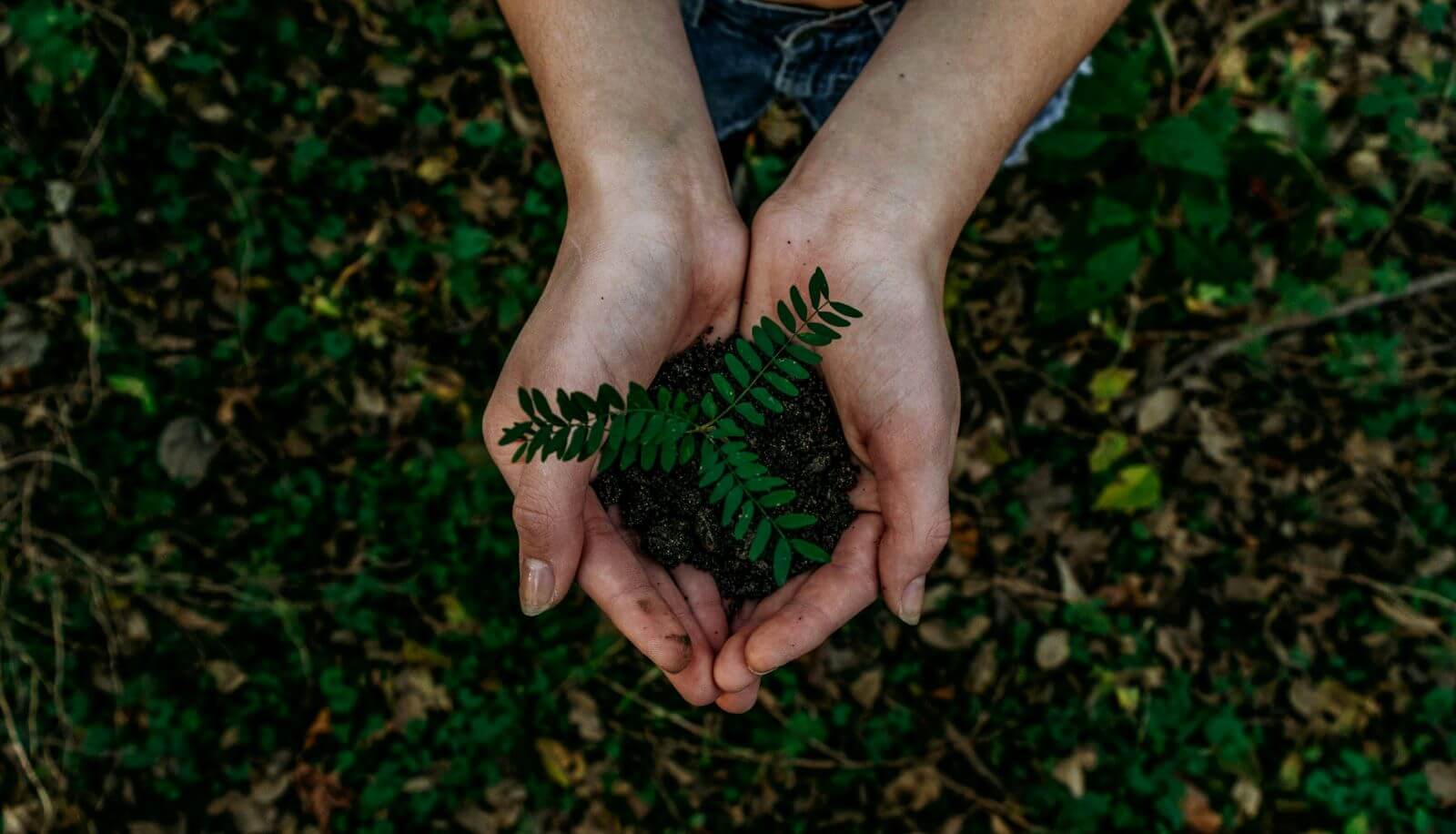 Reduce, Reuse, Recycle - Landscape For Life